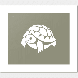 Baby russian tortoise, stylized for tortoise lover Posters and Art